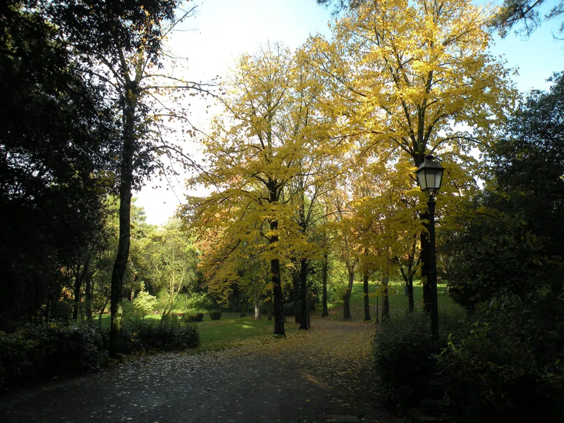 Parco di Villa Strozzi al Boschetto, Firenze