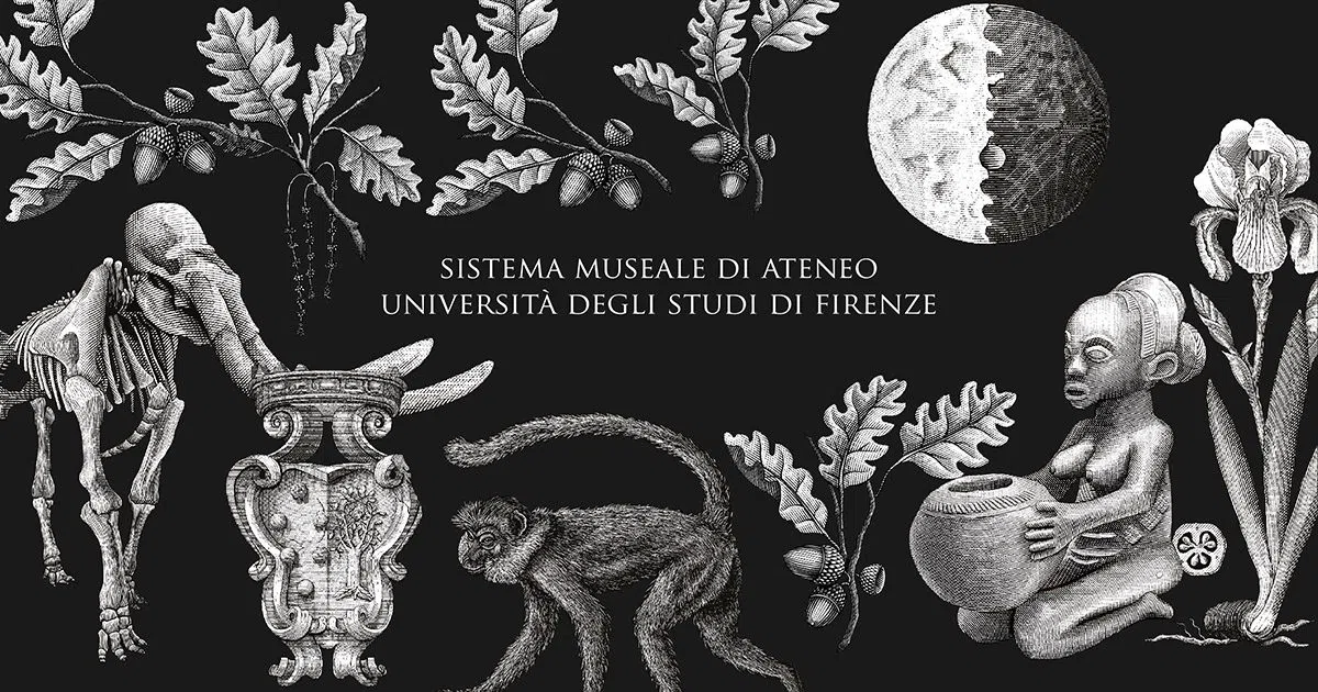 Museo di Storia Naturale – La Specola, Florence